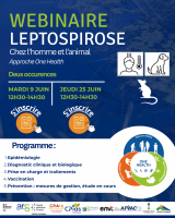 Webinaire de formation et de mise au point sur la leptospirose